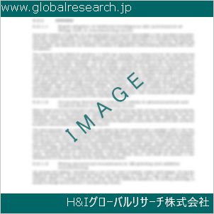 グローバルリサーチ調査資料のイメージ